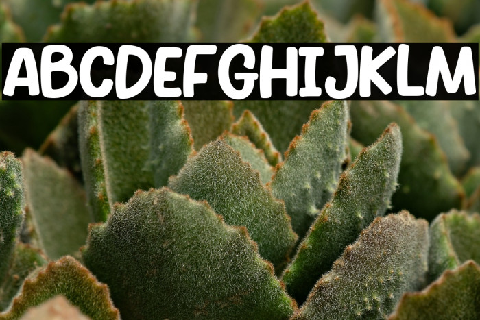 SKULL BONES Bold Example 3