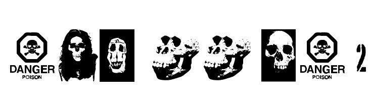 SKULL TS 2 Fonte