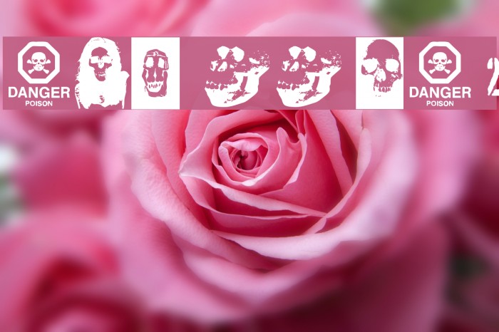 SKULL TS 2 Font examples