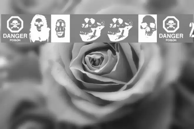 SKULL TS 2 Schriftart examples