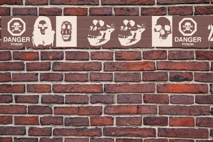 SKULL TS 2 Font examples