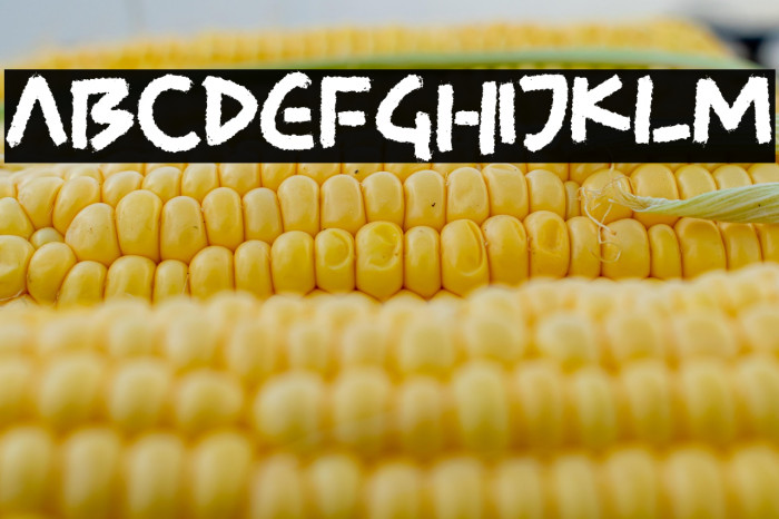 SKY BRIDGE Example 1