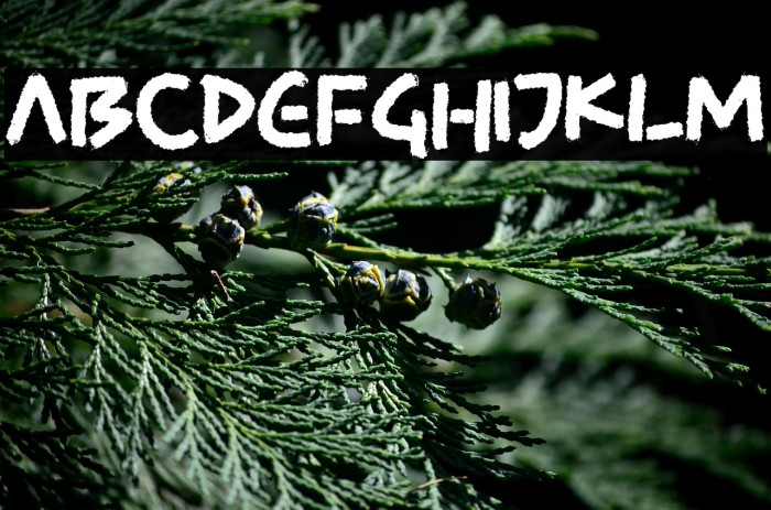 SKY BRIDGE Example 2