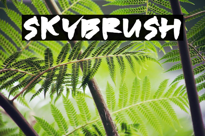 SKYBRUSH Font examples