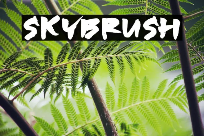 SKYBRUSH Example 1