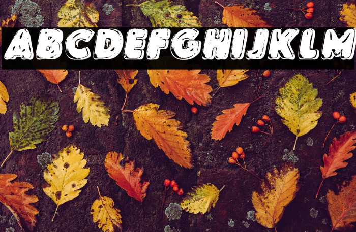 SKYLENSITALICPERSONALUSE-BdIt Example 1