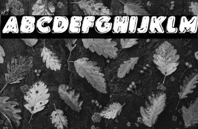 SKYLENSITALICPERSONALUSE-BdIt Font examples