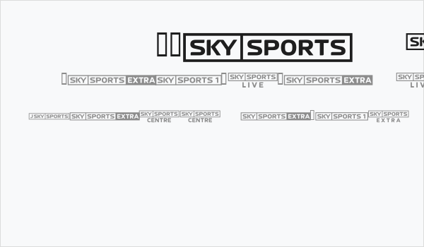 SKYfontsport Business Card