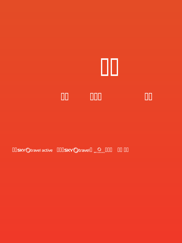 SKYfonttravel Poster