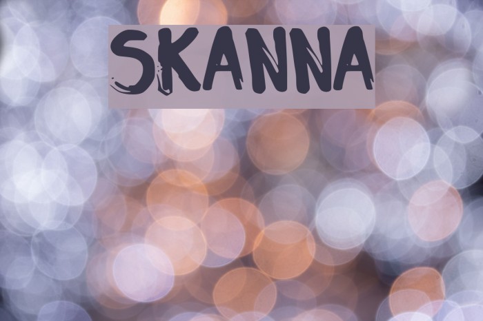 SK_ANNA Example 2