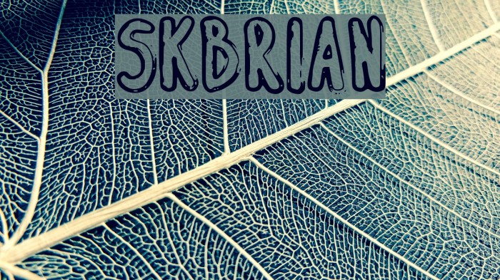 SK_BRIAN Polices examples