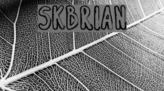 SK_BRIAN Font examples