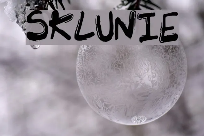 SK_LUNIE Example 1