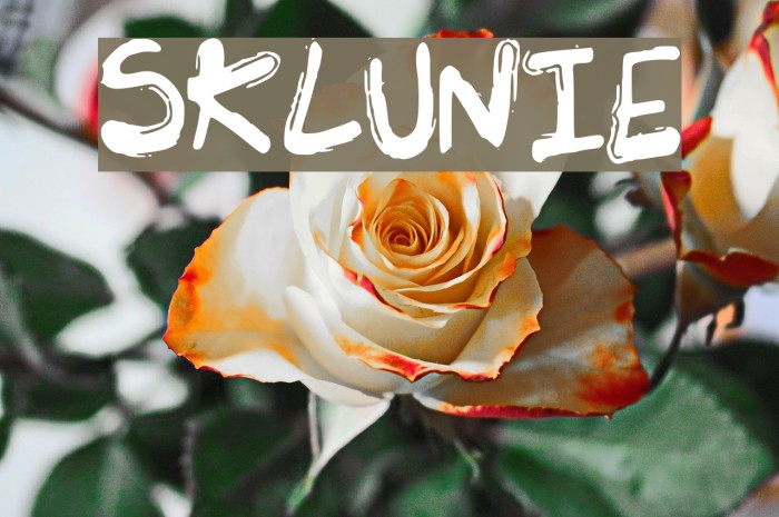 SK_LUNIE Font examples