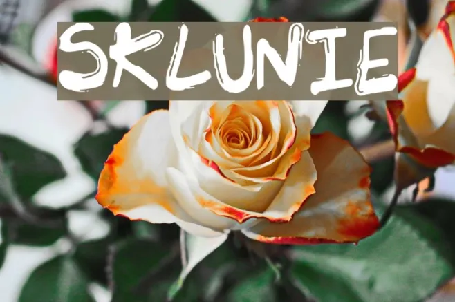 SK_LUNIE Example 2