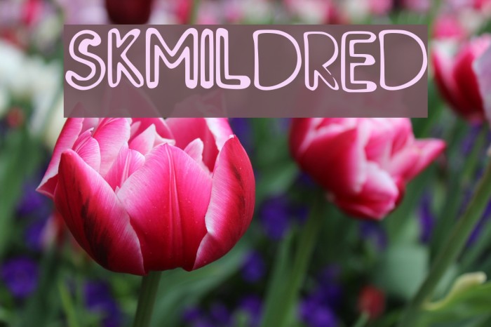 SK_MILDRED Font examples