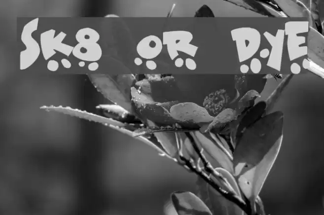 Sk8 or dye Font examples