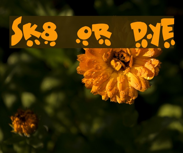 Sk8 or dye Font examples