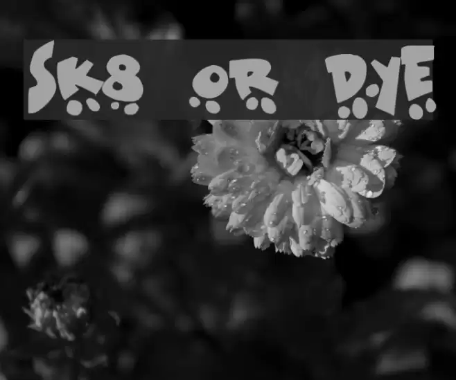 Sk8 or dye Font examples