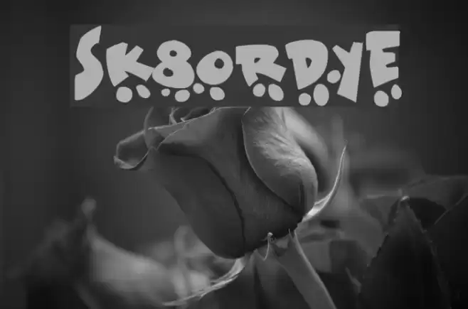 Sk8ordye Font examples