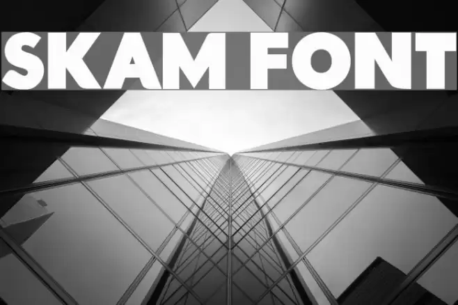 Skam Font Font examples