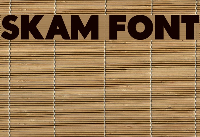 Skam Font Font examples