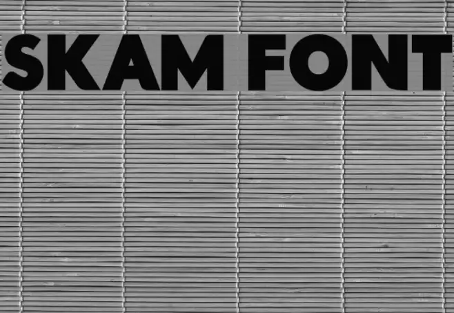 Skam Font Font examples