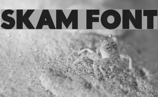 Skam Font Font examples