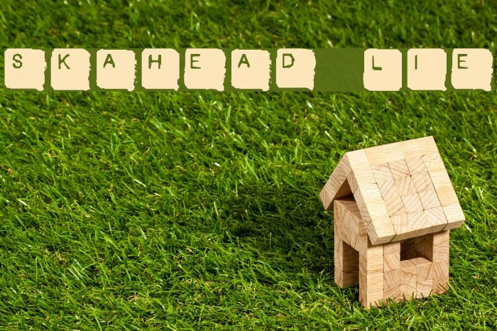 SkanHead Lite Font examples