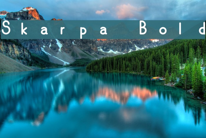 Skarpa Bold Font examples
