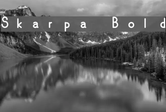 Skarpa Bold Fuentes examples