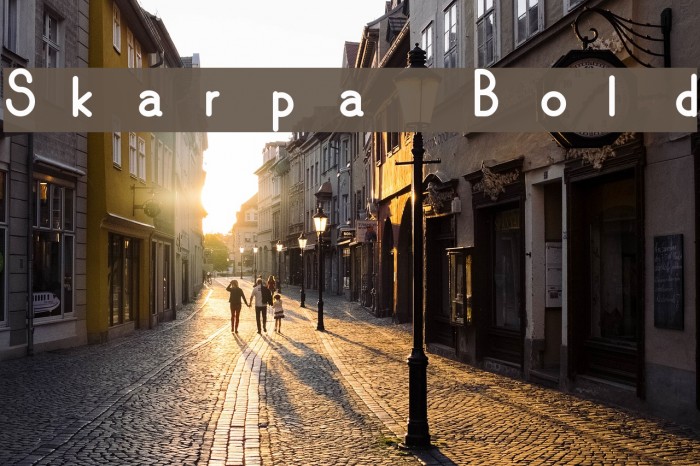 Skarpa Bold Font examples