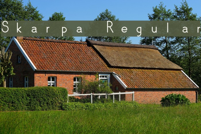 Skarpa Regular Font examples