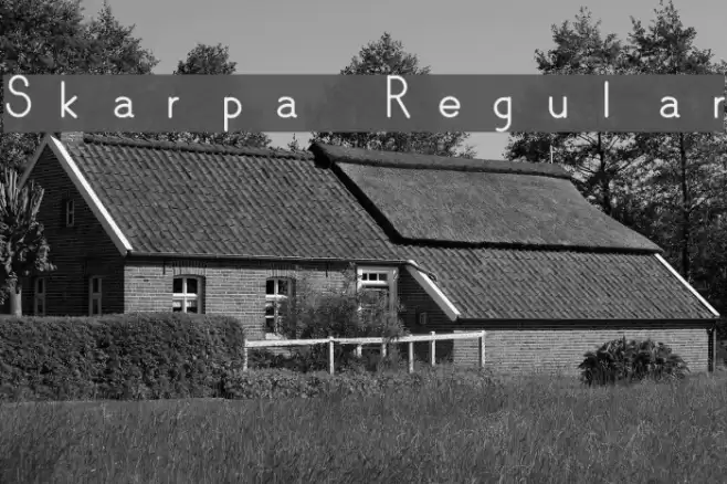Skarpa Regular Polices examples