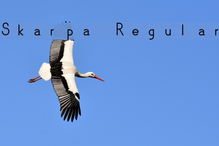 Skarpa Regular Font examples
