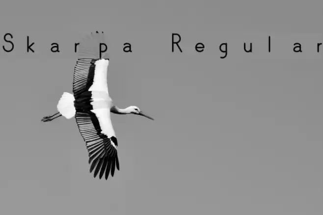 Skarpa Regular Polices examples