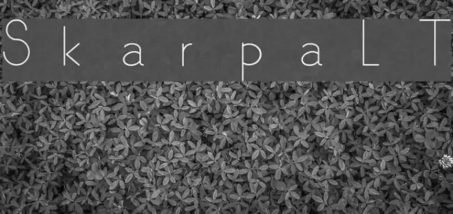 SkarpaLT Font examples
