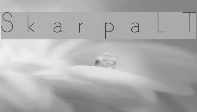 SkarpaLT Font examples