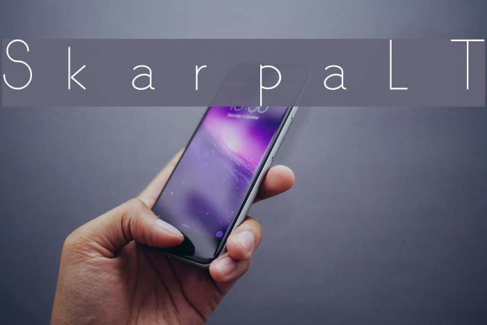 SkarpaLT Font examples