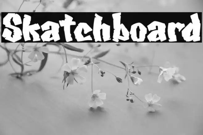 Skatchboard Font examples