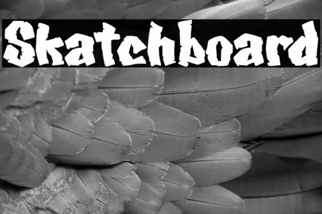 Skatchboard Font examples