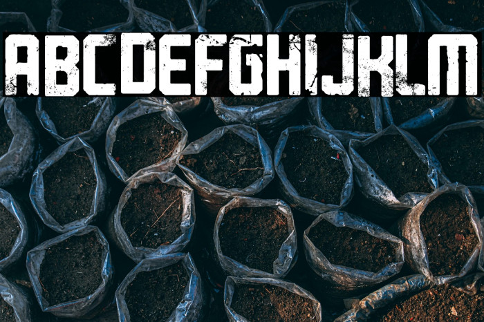 Skate Brand Example 3