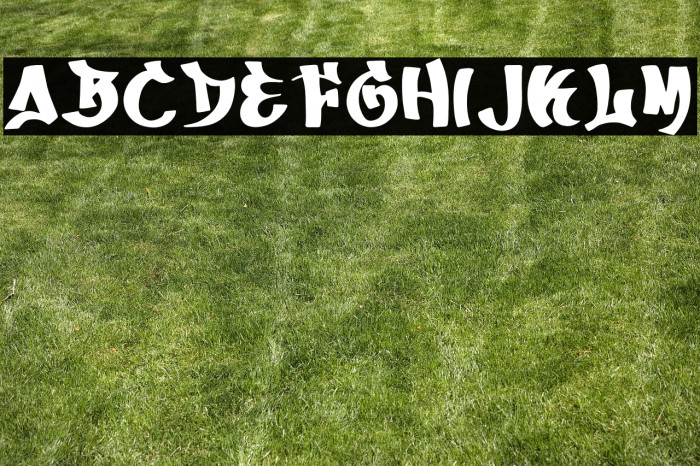 Skate Graffiti PERSONAL USE ONL Example 2