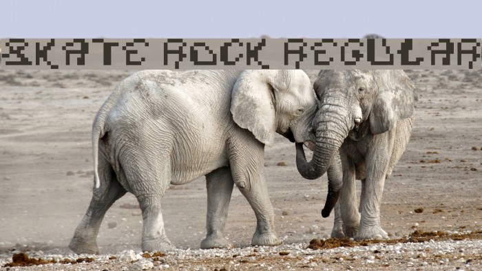 Skate Rock Regular Font examples