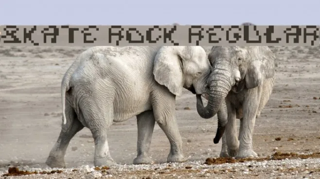 Skate Rock Regular Example 3