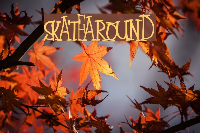 SkateAround Font examples