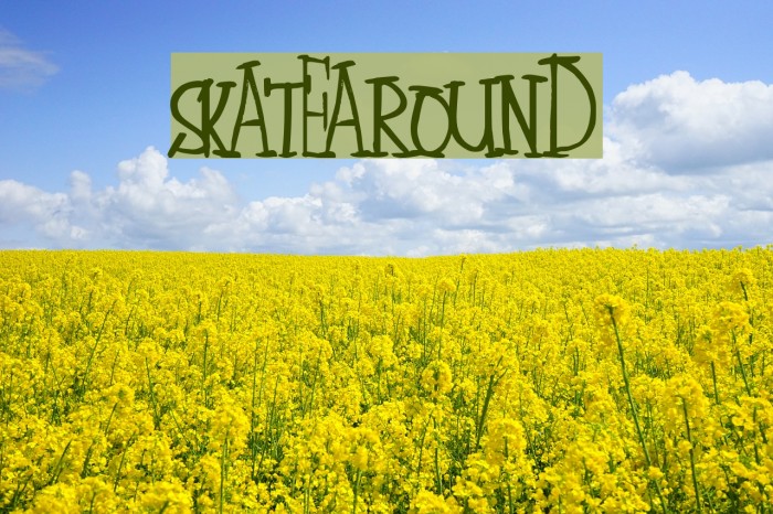 SkateAround Font examples