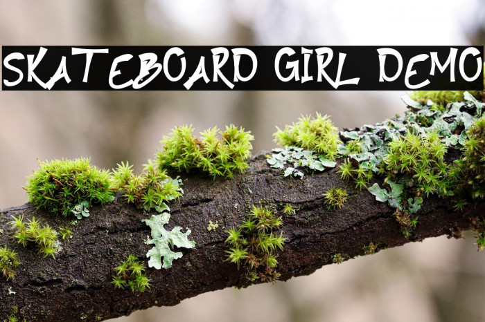 Skateboard Girl Demo Example 1