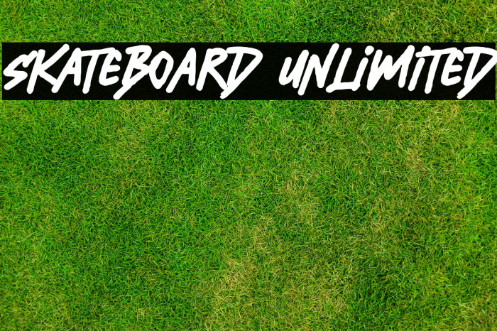 Skateboard Unlimited Polices examples