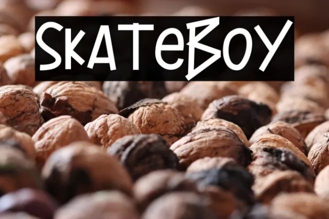 Skateboy Example 1